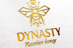 Dynasty
