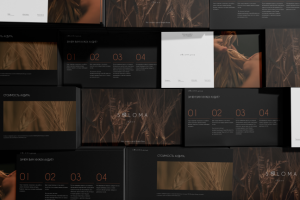 Soloma presentation design