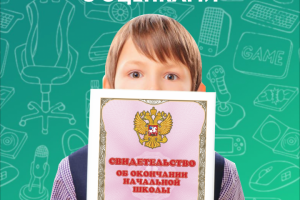 Карточки для вайлдберрис