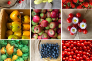 Доставка продуктов, МО