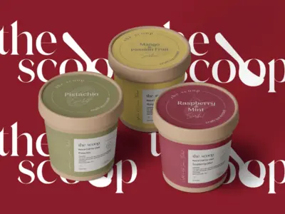 Упаковка и фирменный стиль мороженого The Scoop
