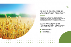 Презентация для участников Ассоциации "Енисейский стандарт"