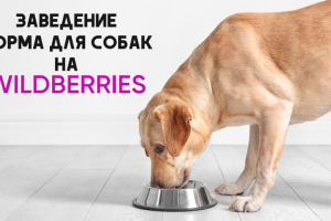 Заведение карточек корма для собак на Wildberries