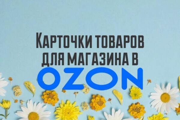 img4268165.png