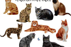 Акварельные коты