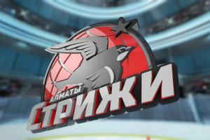 Хоккейный Клуб Стрижи