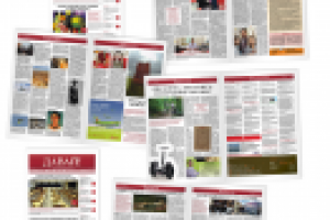 Газета «Давай!» (Австрия)