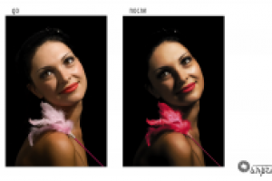 Обложка журнала «Стольник»