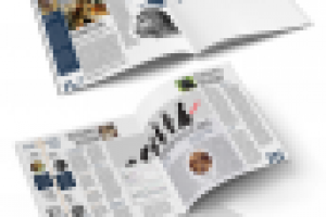 Тестовая брошюра Newmen