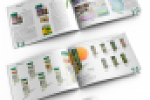 Каталог ЭльФарма