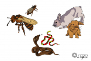 Зверушки: пчелозайцы