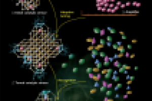 Принцип работы наносенсора