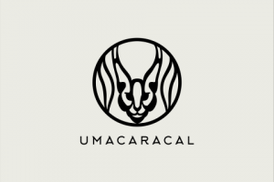 логотип для марки нижнего белья