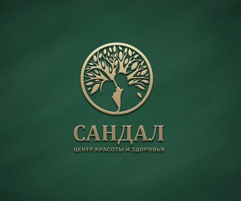 img3800623.png