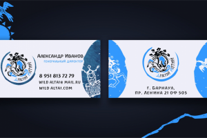 логотип и фирменный стиль для марки алтайского чая