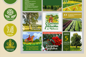 фирменный стиль для питомника растений