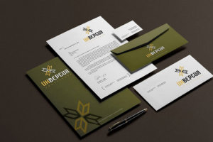 Работа 3706103