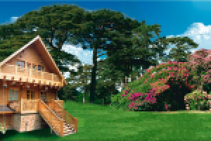 Институт Тонкого Мира