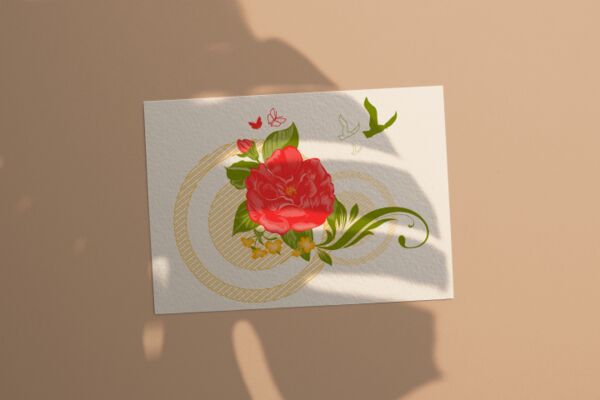 img3855086.png