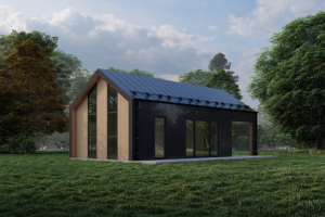 Визуализация дома в стиле Барн