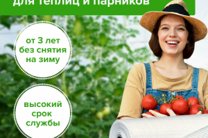 Главный слайд карточки