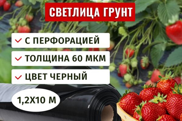img4501463.png