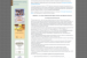 Моя первая успешная работа