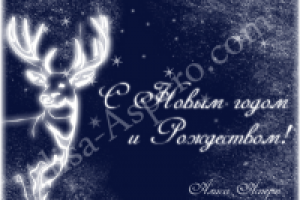 Поздравляю ВСЕХ с Новым годом и Рождеством!