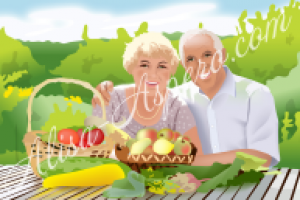 Иллюстрации для видео ролика