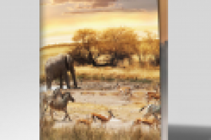 Брошюра о турах в Африку для австралийской тур. компании