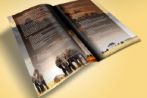 Брошюра о турах в Африку для австралийской тур. компании