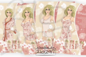 Вкладыши для коробок белья и иллюстрации, для Princess, Китай