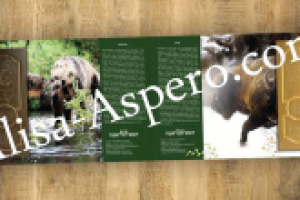 Каталог дверей