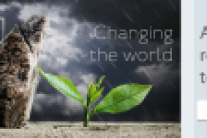 Слайдер для Chanqinq the world