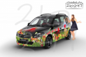 Оформление автомобиля для компании по доставки фруктовых букетов