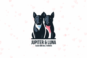 Логотип Mascot | Jupiter&Luna