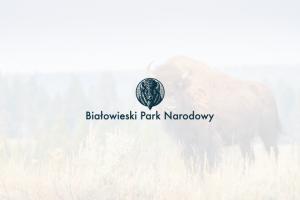 Логотип Vintage | Польский Беловежский национальный парк