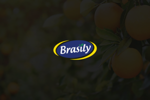 Логотип Industrial | Brasily