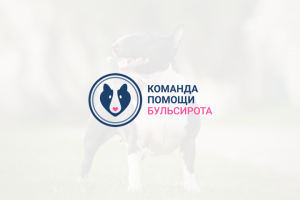 Логотип Business | Бульсирота