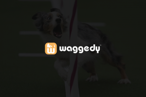 Логотип Business | Waggedy