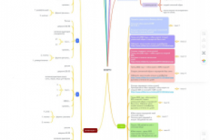КЕЙС ВК: ОДЕЖДА НА WILDBERRIES