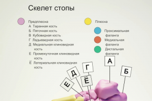 Анимационная инфографика