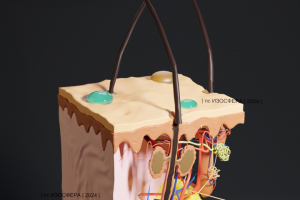 Научный анимационный ролик
