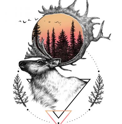 img4372897.png