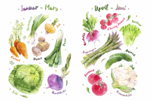 Обучающие плакаты для детского сада