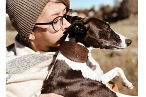 Товары для собак: пост