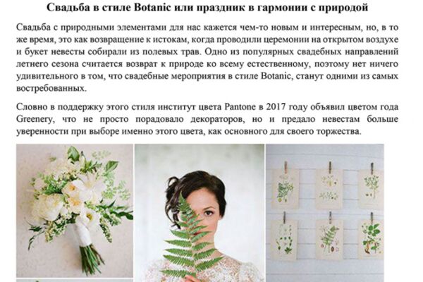 img4138253.png