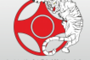 Векторный рисунок