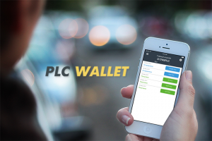 Кошелек для криптовалюты PlatinCoin