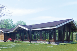 архитектура & 3д визуализация